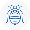 Bed Bug Extermination In Millwall