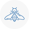 Bee Nest Removal Millwall