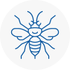 Millwall Hornet Nest Removals