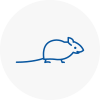 Mice Exterminators In Millwall