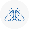 Moth Control Specialists In Millwall