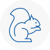 Millwall Rodent Removals