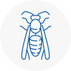 Millwall Wasp Nest Removal